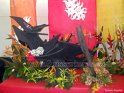 flower-show-2012 (27)